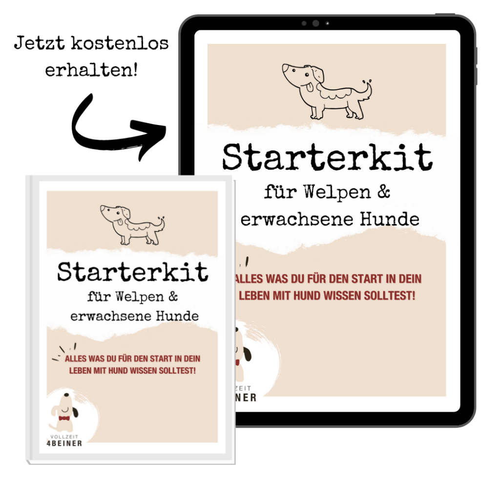 freebie-starterkit-welpen-hunde-hundeschule-training