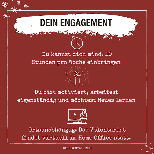 engagement-hundetraining-volontariat-vollzeit4beiner-online-marketing.png