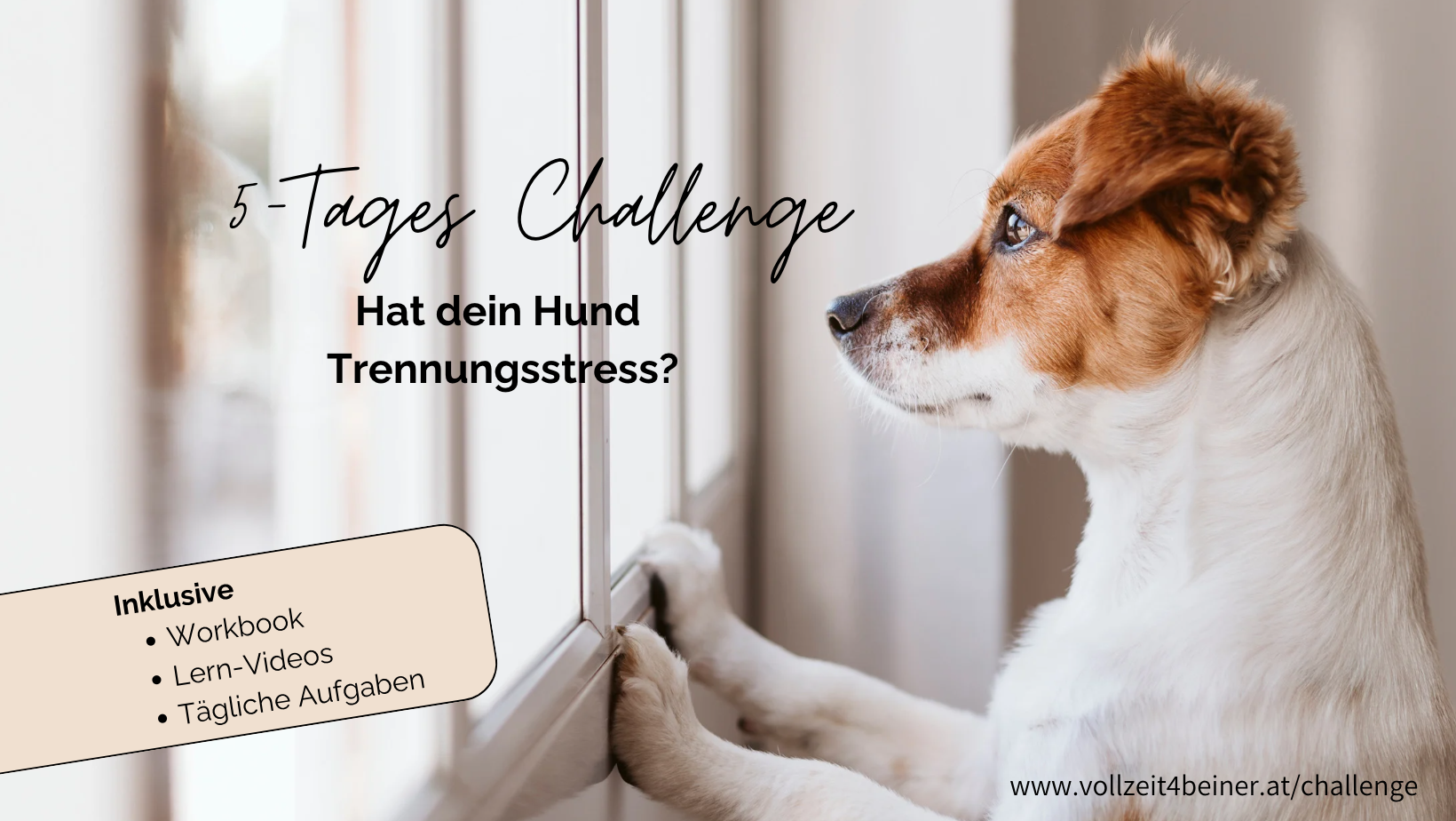 trennungsstress-challenge