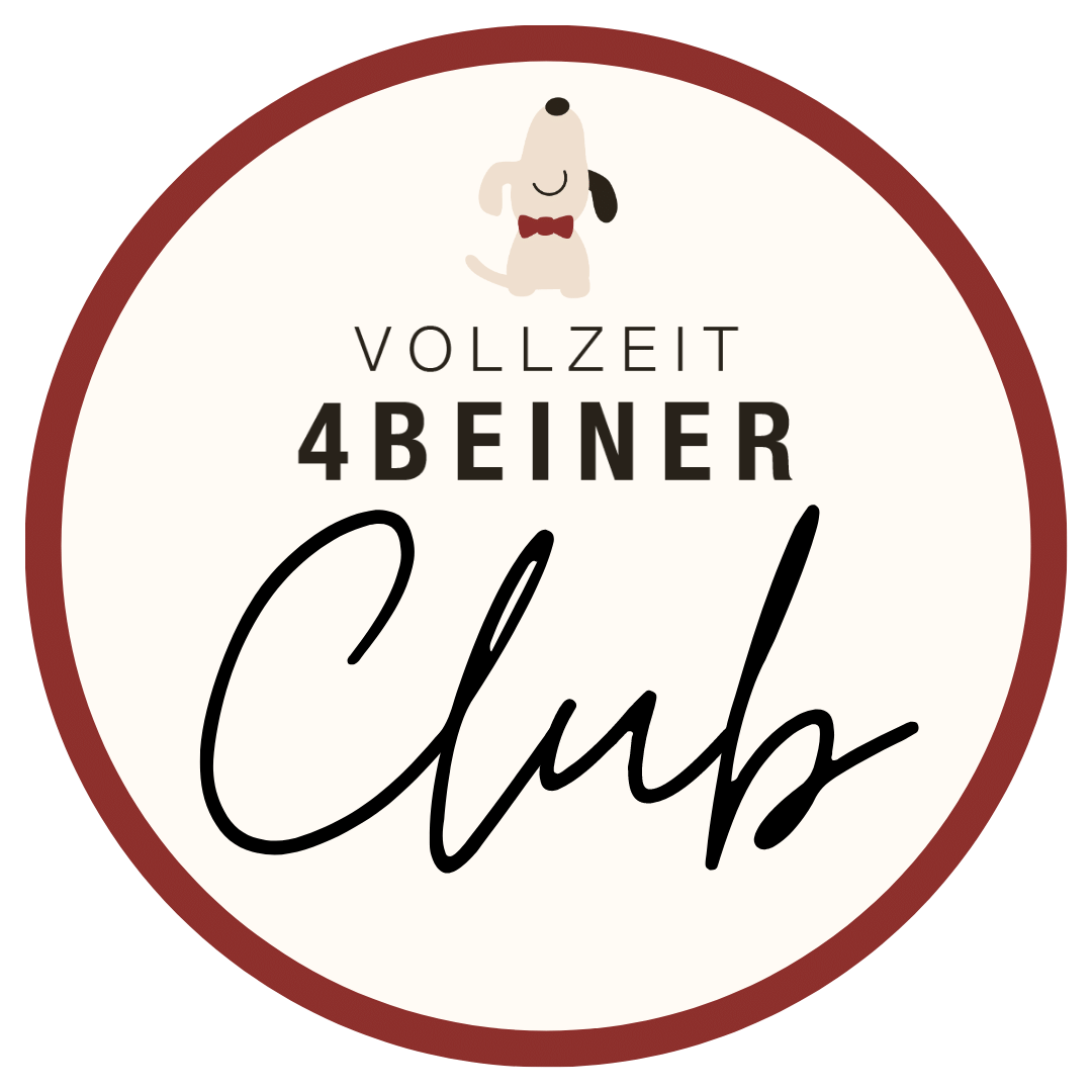 vollzeit4beiner-club-fuer-berufstaetige-hunde-besitzer