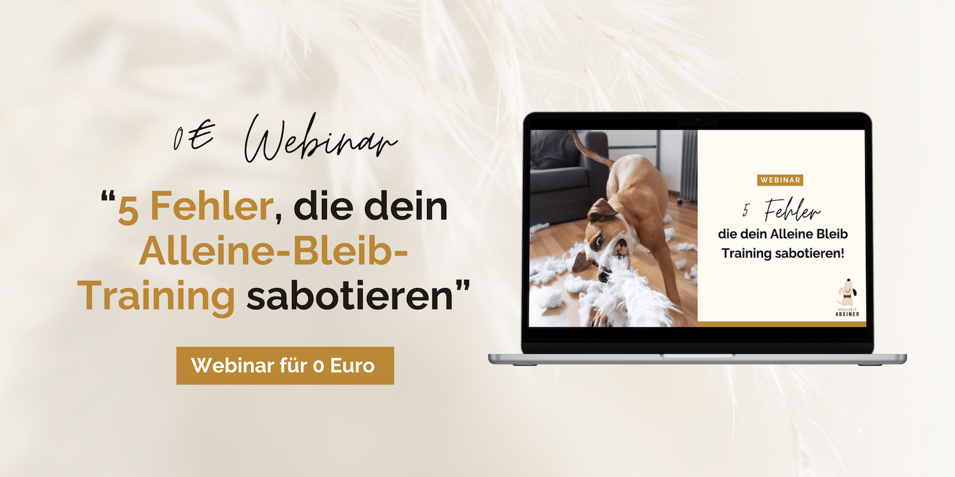 hund-alleine-bleiben-webinar-gratis-training-hundetraining