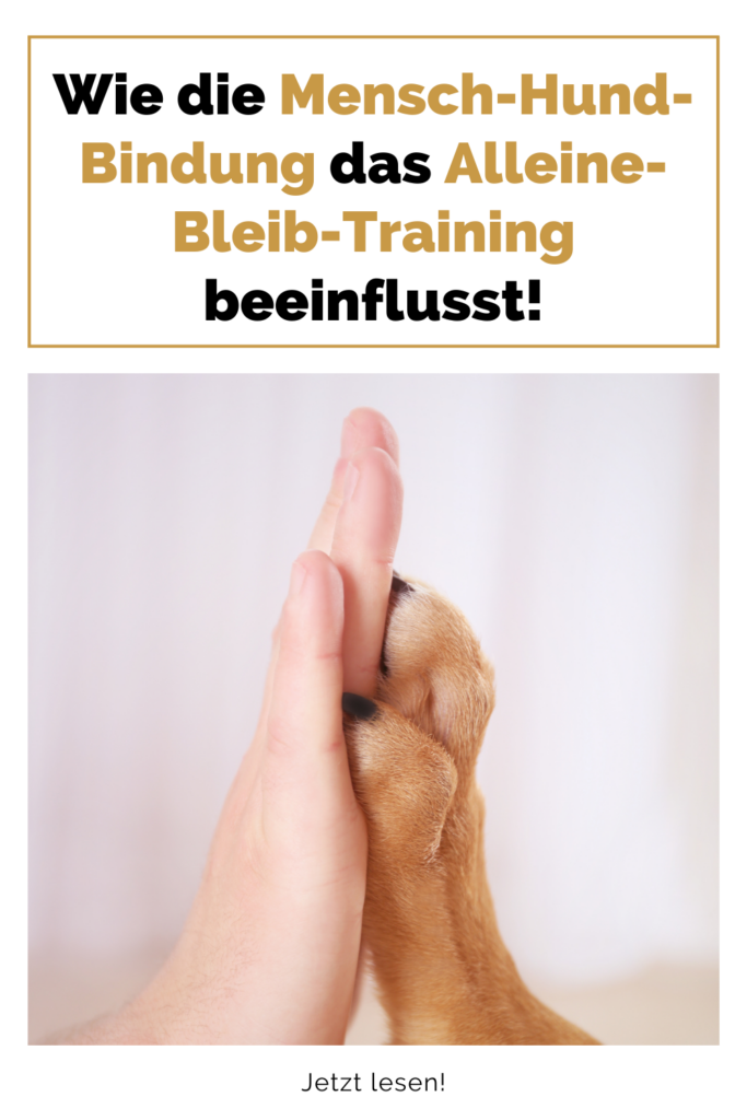 Mensch-Hund-Bindung-alleine-bleib-training-hundetraining
